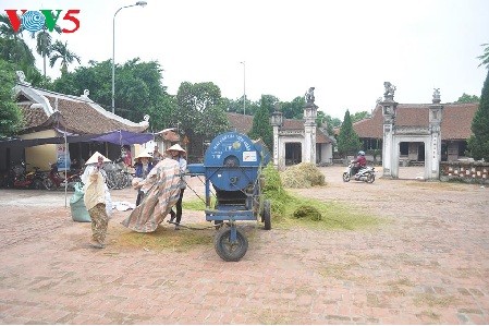 Duong Lam ancient village, “the land of two kings”  - ảnh 3